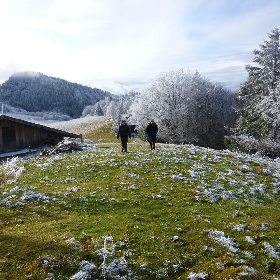 Les Sapins Blancs Apartment Vacheresse Bagian luar foto